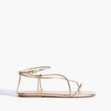 Lily - Gold