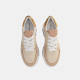 Boston - Creme / Gold