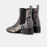 Carina - Snake